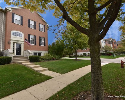 766 Thornbury Court Unit #107-4, Bartlett