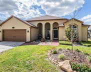 11714 Carrollwood Cove Drive, Tampa image