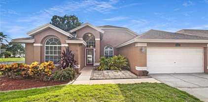 13506 Ironton Drive, Tampa