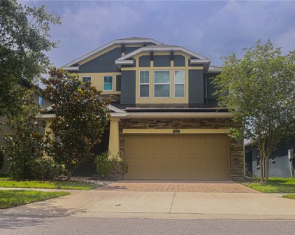 4071 Balcony Breeze Drive, Land O' Lakes