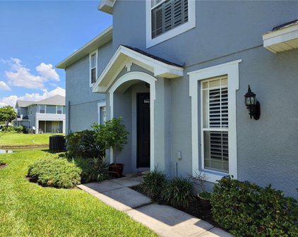 10303 Willow Leaf Trail, Tampa
