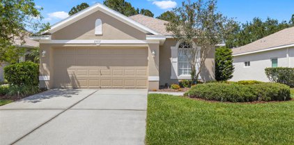 23717 Coral Ridge Lane, Land O' Lakes