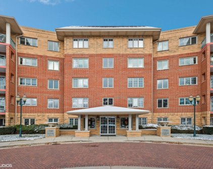 730 Creekside Drive Unit #310C, Mount Prospect