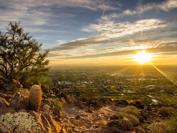 Contact a Arizona Realtor