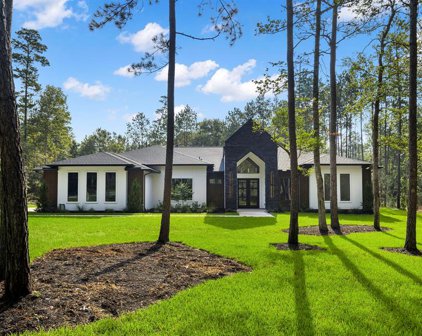 15868 Wooded Trail Way, Willis