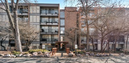 6020 Oakwood Drive Unit #2C, Lisle