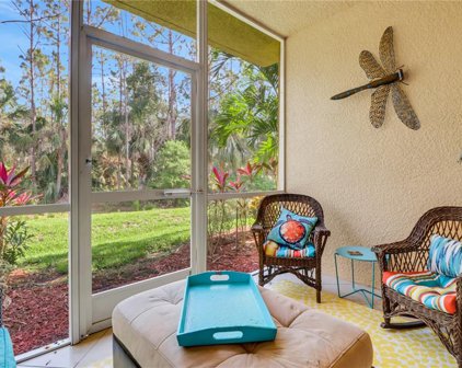 20251 Royal Villagio Ct Unit 101, Estero