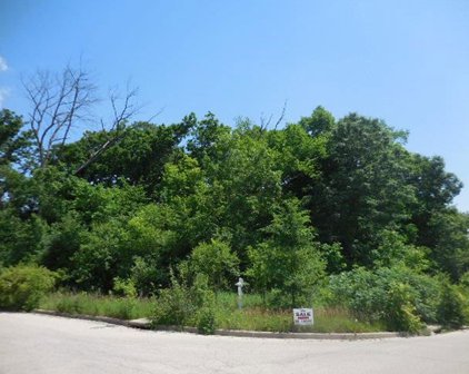 707,713,5079 Tuneberg, Tuneberg & Smokethorn, Belvidere
