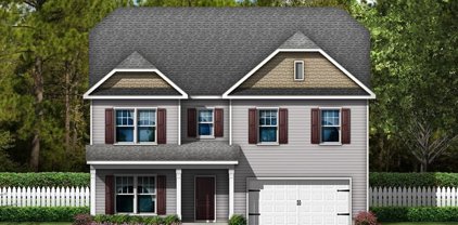 1107 Ashe Meadow  Drive, Indian Trail
