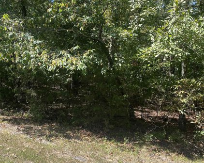 22 Darro, Hot Springs Village