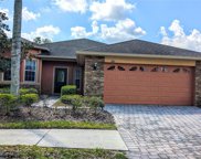 285 Davinci Pass, Poinciana image