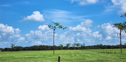 Clay Gully Road, Myakka City
