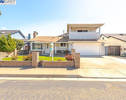 3256 Santa Clara Ct, Union City