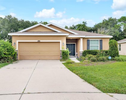 2825 Holly Bluff Court, Plant City