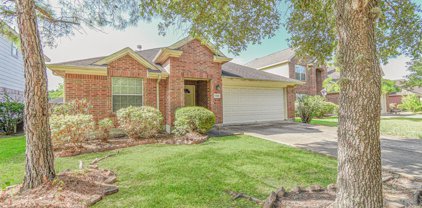 13214 Baron Hill Lane, Rosharon
