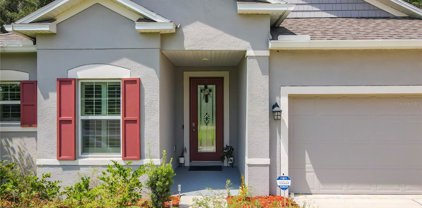 25605 Exmoor Drive, Sorrento