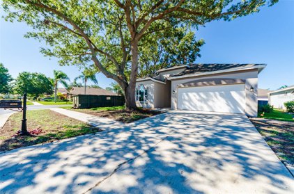 4380 Sawgrass Drive, Palm Harbor
