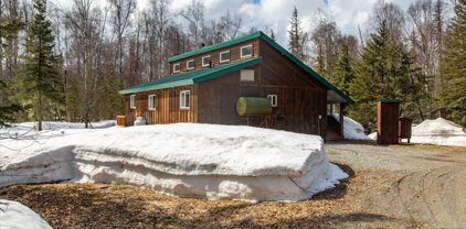 26086 S Wolf Track Road Road, Talkeetna