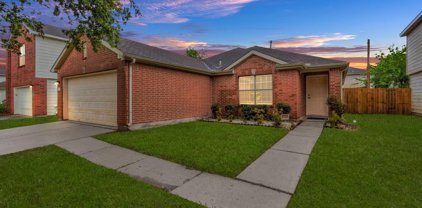 3527 George Washington Lane, Missouri City