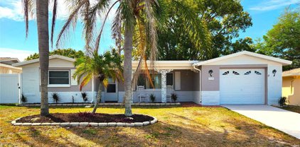 5738 Otis Drive, New Port Richey