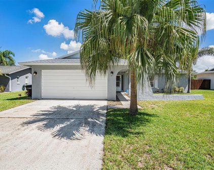 2224 Willow Tree Trail, Clearwater