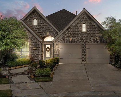 19102 Panther Cave Court, Cypress