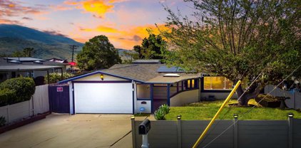 9853 Ivanho St, Spring Valley