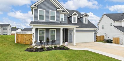 905 Wild Pine, Duncan