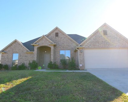 7318 Harpers Ridge Ln, Tyler