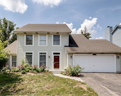 232 Windsor Drive, Bartlett