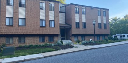 1811 Snow Meadow   Lane Unit #202, Baltimore