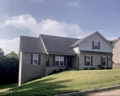3357 Colby Cove Drive, Maryville