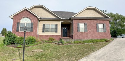 5021 Ivy Rose Drive, Knoxville
