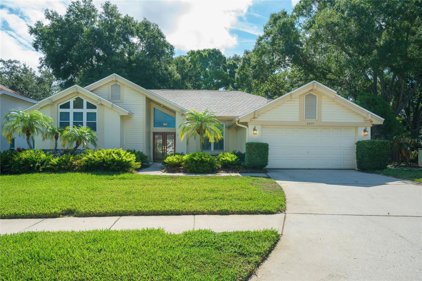 2829 Spring Oak Court, Palm Harbor
