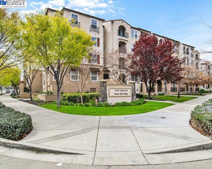 3420 Finnian Way Unit #319, Dublin