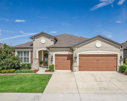 9529 Sw 64th Lane, Ocala