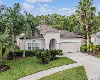 12514 Loquat Way, Tampa