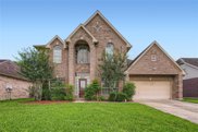 2501 Piney Woods Drive, Pearland image