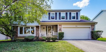 711 W Nichols Road, Arlington Heights
