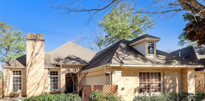 6 N Copperknoll Circle, The Woodlands
