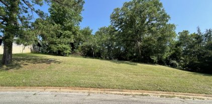 000 Stephanie Dr., Palestine