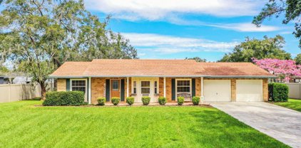 1320 Spring Court, Bartow