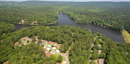 10 LINDSAY Lane, Hot Springs Village