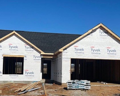 78 Mills Creek, Clarksville