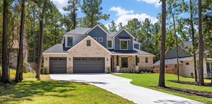 245 E Blue Heron Drive, Montgomery