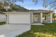 8418 N Newport Avenue, Tampa image