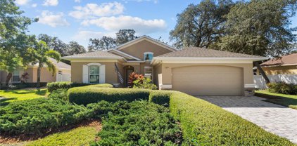 1574 River Court, Tarpon Springs