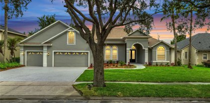 3933 Hunters Isle Drive, Orlando