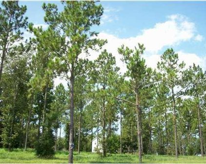 35920 Ramsey Ridge Drive, Dade City