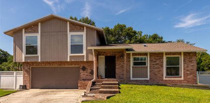 15520 Timberline Drive, Tampa
